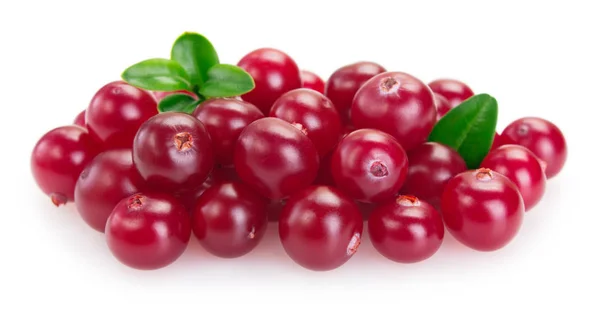 Cranberry segar diisolasi pada latar belakang putih — Stok Foto