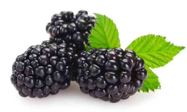 Fresh blackberry on white background Royalty Free Stock Images