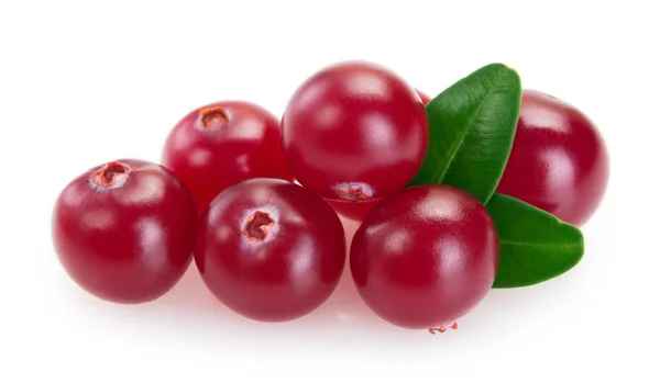 Fresh cranberry isolated on white background — Stock Photo, Image