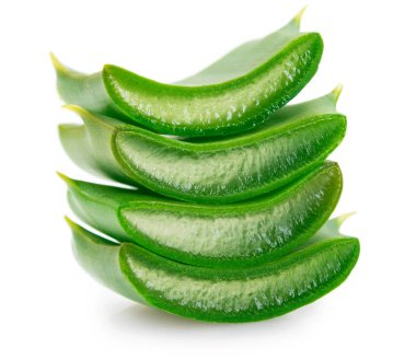 Yeni Aloe Vera beyaz arka planda izole edildi