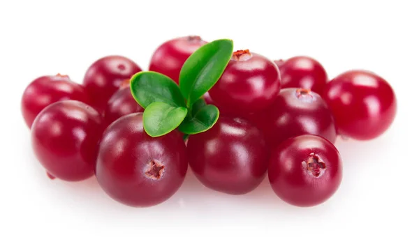 Fresh cranberry isolated on white background — Stock Photo, Image