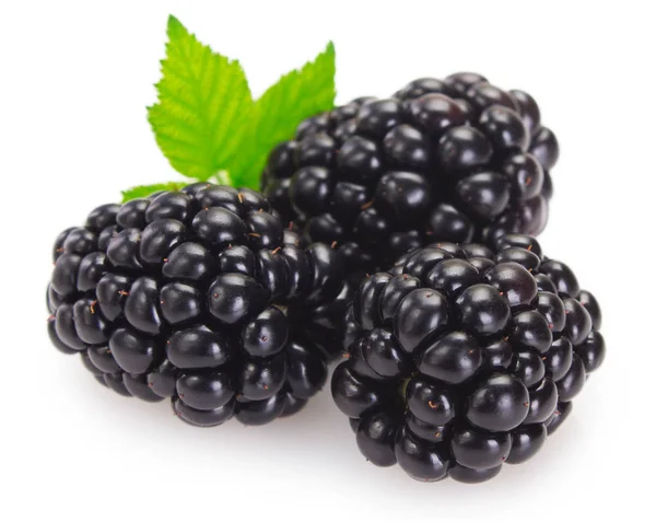 Fresh blackberry on white background — Stock Photo, Image