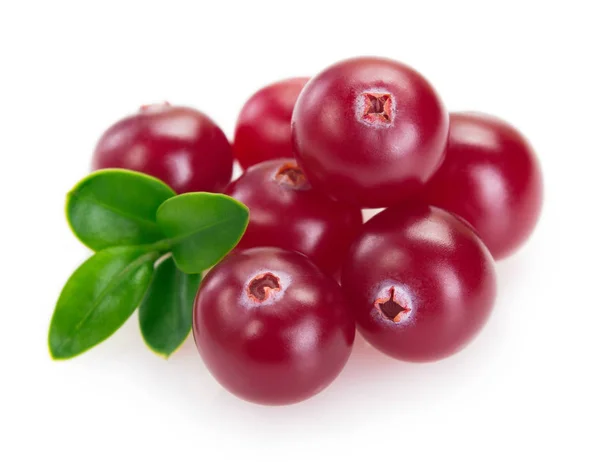 Fresh cranberry isolated on white background — Stock Photo, Image