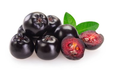 Beyaz arka planda taze chokeberry