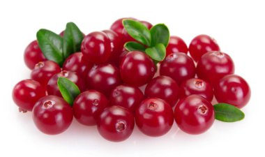 Beyaz arka plan üzerinde izole taze kızılcık