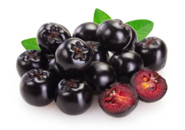 Beyaz arka planda taze chokeberry