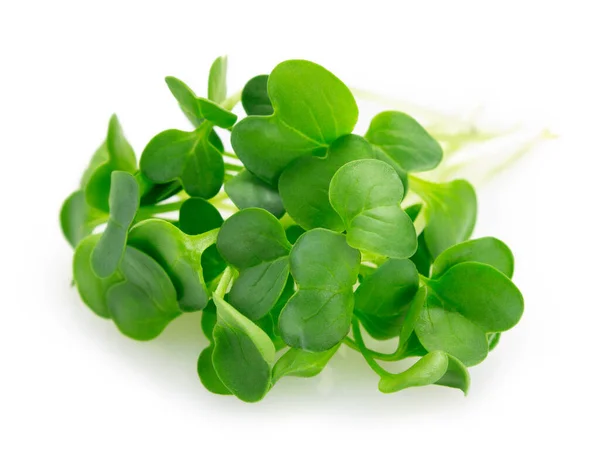 Micro groene arugula geïsoleerd op witte achtergrond — Stockfoto