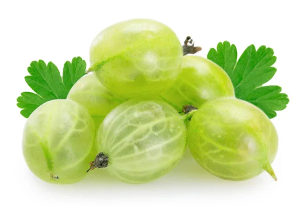 Fresh gooseberry on white background — Stock Photo, Image