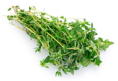 Beyaz arkaplanda taze kekik