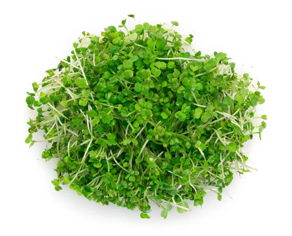 Micro groene arugula geïsoleerd op witte achtergrond — Stockfoto