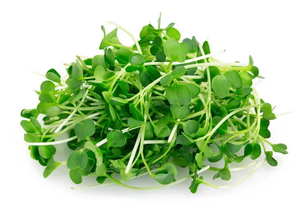 Arugula hijau mikro diisolasi pada latar belakang putih — Stok Foto