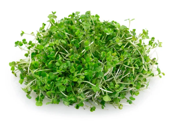 Micro groene arugula geïsoleerd op witte achtergrond — Stockfoto