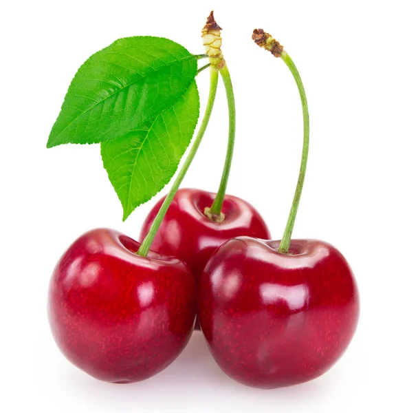 Fresh cherry on white background — Stock Photo, Image