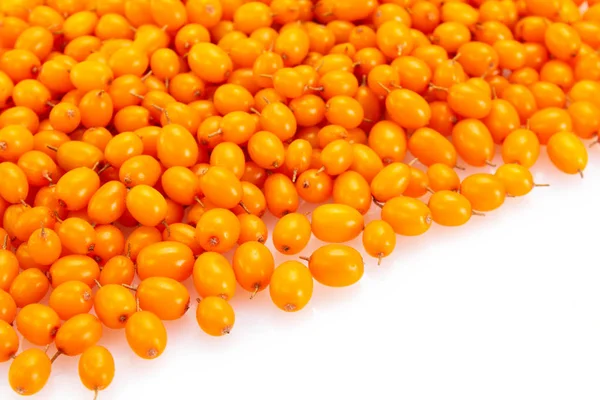 Sea buckthorn berries on white background — Stock Photo, Image