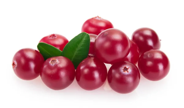 Fresh cranberry isolated on white background — Stock Photo, Image