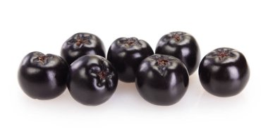 Beyaz arka planda taze chokeberry