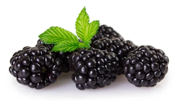 Fresh blackberry on white background — Stock Photo, Image