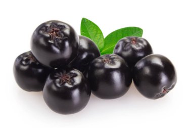 beyaz arka plan closeup izole taze chokeberry