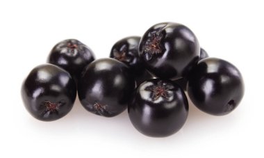 beyaz arka plan closeup izole taze chokeberry