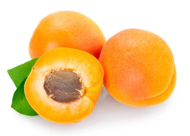 beyaz arka plan closeup izole taze kayısı