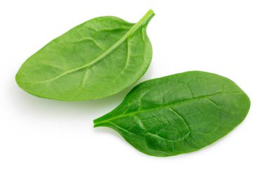 Beyaz arka planda izole edilmiş taze ıspanak. Yakın plan.