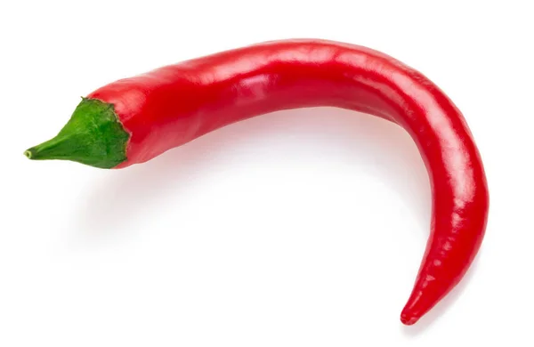 Chili Pepper Isolated White Background Closeup — Stock Photo, Image