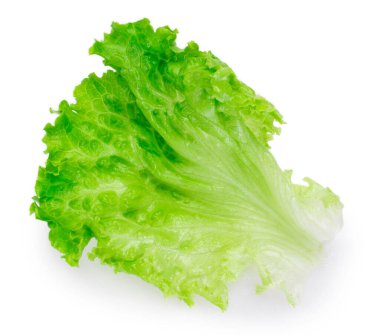 Beyaz arka planda izole edilmiş taze marul salatası.