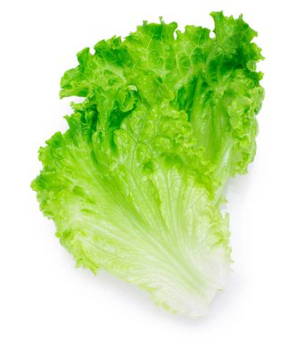 Beyaz arka planda izole edilmiş taze marul salatası.