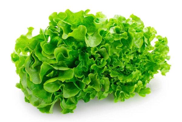 fresh lettuce salad isolated on white background closeup