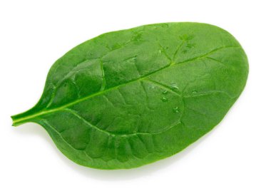 Beyaz arka planda izole edilmiş taze ıspanak. Yakın plan.