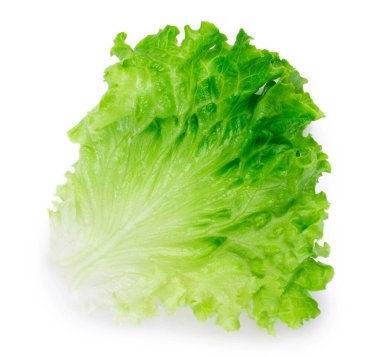 Beyaz arka planda izole edilmiş taze marul salatası.