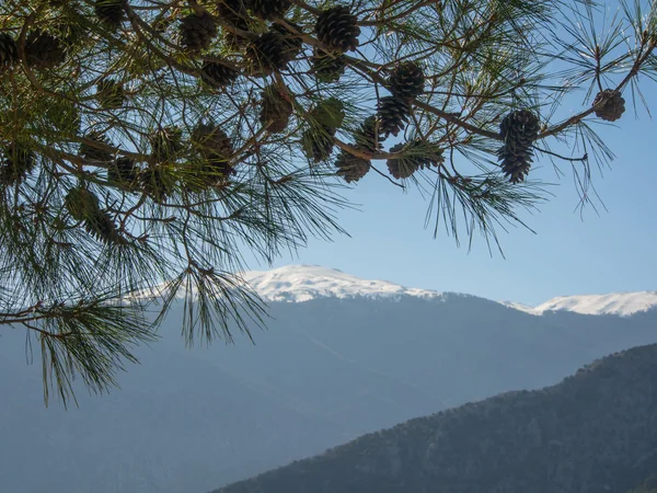 Arykanda antik kalıntılar — Stok fotoğraf