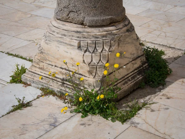 İsa Bey Camii'nde Selçuk, Izmir, Türkiye
