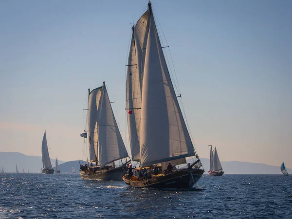 Geleneksel Türk guletleri, Bodrum Kupası 2017