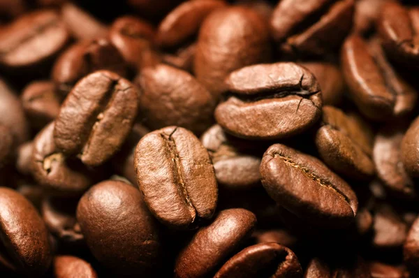 Kahve Fasulye Odak Seçin Yakın Çekim — Stok fotoğraf