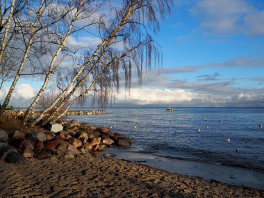 ağaçların denizin üzerinden