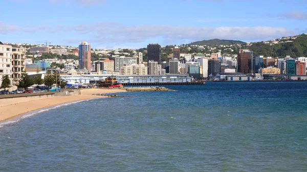 Blick auf wellington, Neuseeland — Stockfoto