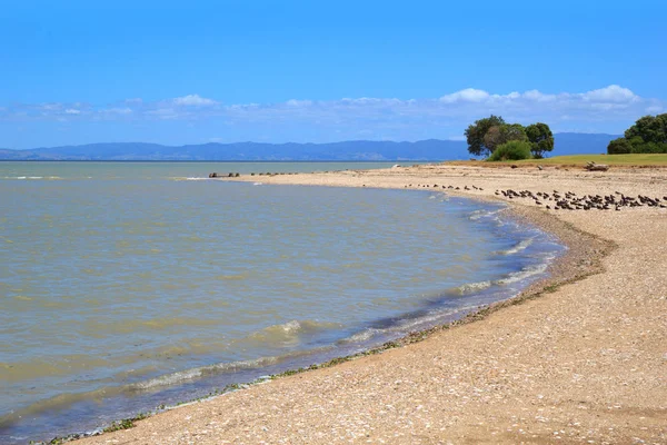 Playa cerca del Támesis, Nueva Zelanda — Foto de Stock