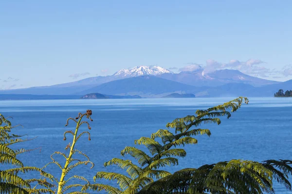 Nézd Lake Taupo, Új-Zéland — Stock Fotó