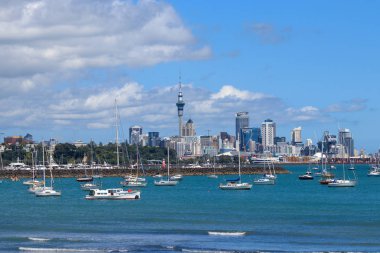 Auckland Şehir Merkezi Görünümü