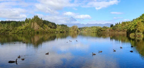 Lake Mangamahoe ve mount Taranaki lpanorama