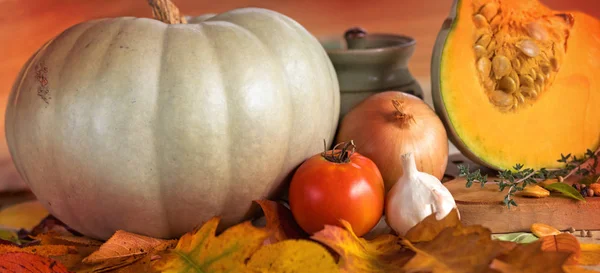 Récolte des légumes d'automne — Photo