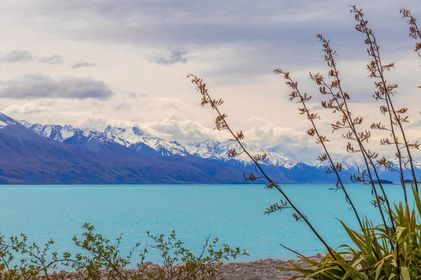 Живописное озеро Пукаки и Южные Альпы, Новая Зеландия — стоковое фото