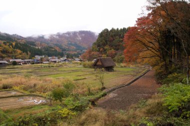 Geleneksel bir Japon geleneksel köyü olan Shirakawa Köyü veya Shirakawa-go 'daki geleneksel Gthe-zukuri (dua eden eller gibi inşa edilmiş) evinin manzarası. Arka planda sisin içindeki dağlar var.