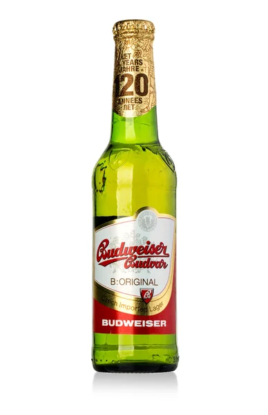 Single bottle of Budweiser on white — Stock Photo, Image