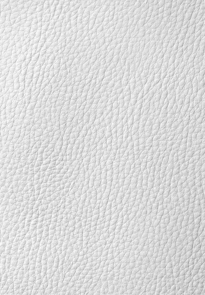 White leather background — Stock Photo, Image