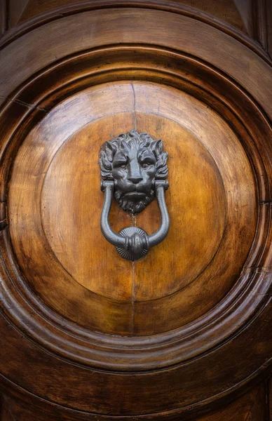 ライオンの頭のドアのノック — ストック写真