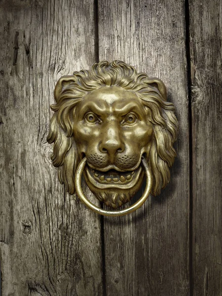 ライオンの頭がドアに — ストック写真