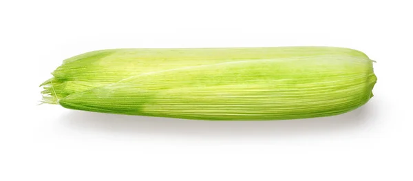 Corn, white, background, isolated, ripe, sweet, fresh, ear, food — Stock Photo, Image