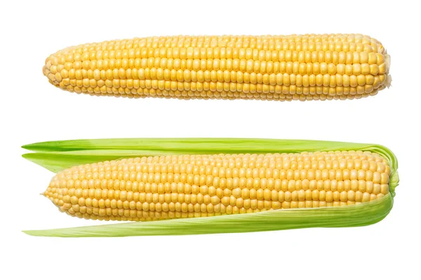 Corn isolerad på en vit — Stockfoto